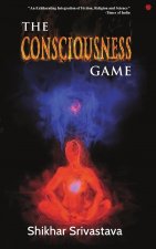 Consciousness Game