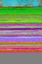 Cosmologies of Pure Realms and the Rhetoric of Pollution