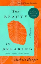 Beauty In Breaking