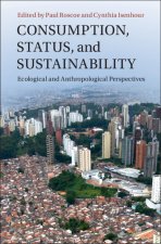 Consumption, Status, and Sustainability