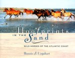 Hoofprints in the Sand: Wild Horses of the Atlantic Coast