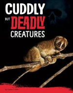 Cuddly But Deadly Animals