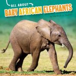 All about Baby African Elephants