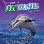 All about Baby Dolphins
