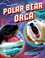 Polar Bear vs. Orca