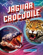 Jaguar vs. Crocodile