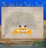 Little Crab Finds A Friend