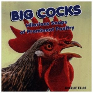 Big Cocks