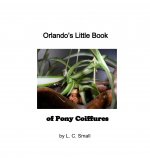 Orlando's Little Book of Pony Coiffures