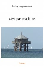 C'est pas ma faute