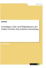 Grundlagen, Ziele und Möglichkeiten des Online Vertriebs. Eine kritische Darstellung