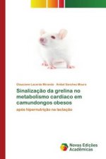 Sinalizacao da grelina no metabolismo cardiaco em camundongos obesos