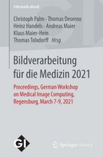 Bildverarbeitung Fur Die Medizin 2021
