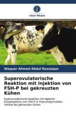 Superovulatorische Reaktion mit Injektion von FSH-P bei gekreuzten Kuhen