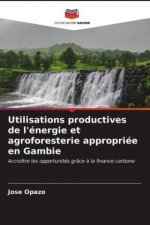 Utilisations productives de l'energie et agroforesterie appropriee en Gambie