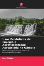 Usos Produtivos de Energia e Agroflorestacao Apropriada na Gambia