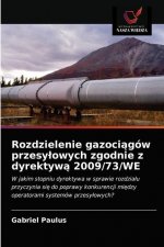 Rozdzielenie gazociągow przesylowych zgodnie z dyrektywą 2009/73/WE
