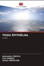 Tissu Epithelial