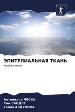 ЭПИТЕЛИАЛЬНАЯ ТКАНЬ