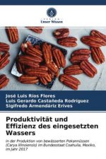 Produktivitat und Effizienz des eingesetzten Wassers