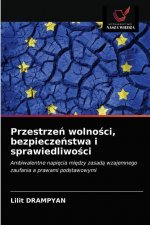 Przestrzeń wolności, bezpieczeństwa i sprawiedliwości