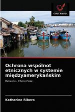 Ochrona wspolnot etnicznych w systemie międzyamerykańskim