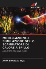Modellazione E Simulazione Dello Scambiatore Di Calore a Spillo