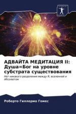 АДВАЙТА МЕДИТАЦИЯ II