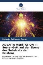 Advaita Meditation II
