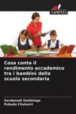 Cosa conta il rendimento accademico tra i bambini della scuola secondaria