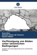 Verflussigung von Boeden unter seismischen Bedingungen