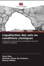 Liquefaction des sols en conditions sismiques