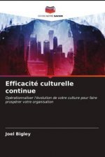 Efficacite culturelle continue