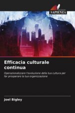 Efficacia culturale continua