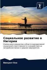 Социальное развитие в Ни