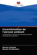 Caracterisation de l'aerosol ambiant