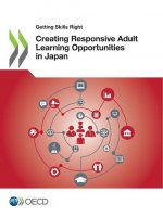 Creating responsive adult learning opportunities in Japan