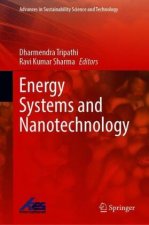 Energy Systems and Nanotechnology