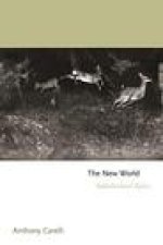 New World