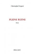 Pleine ruine