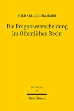 Die Prognoseentscheidung im OEffentlichen Recht