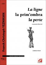 La ligne – la prim’ombra – la perte (conducteur)