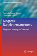 Magnetic Nanoheterostructures