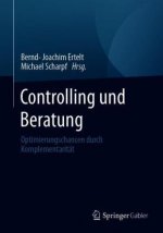 Controlling und Beratung