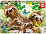Sloth family selfie