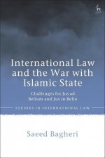 International Law and the War with Islamic State