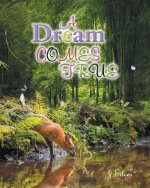 Dream Comes True