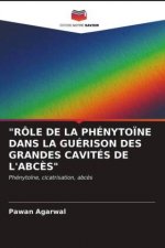 Role de la Phenytoine Dans La Guerison Des Grandes Cavites de l'Abces