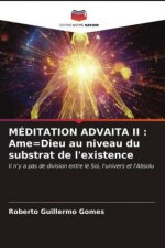 Meditation Advaita II
