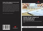 Study of the impact of microcredit on a microenterprise